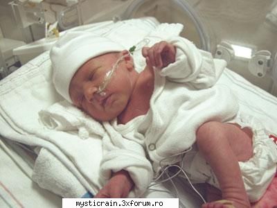 in scurt timp ajunsera in salonul de le arata doi micuti identici care dormeau in acelasi incubator
